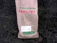 010826tanefukuro190.jpg