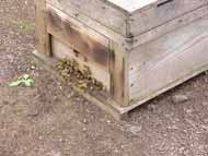 011103_beebox_190.jpg