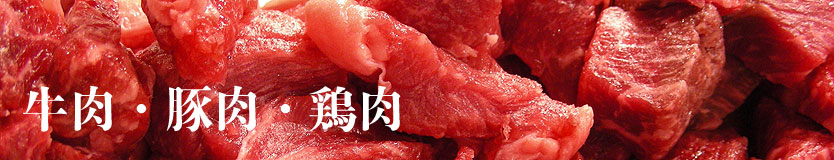 syokudo_meateggstew_topimage834.jpg